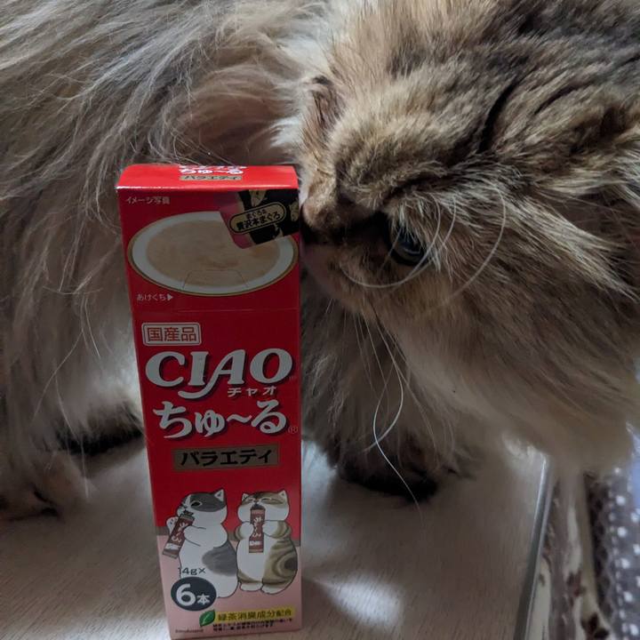 A636c9a9 fa1b 436e aaa2 70a4f5e42586 1708478210187