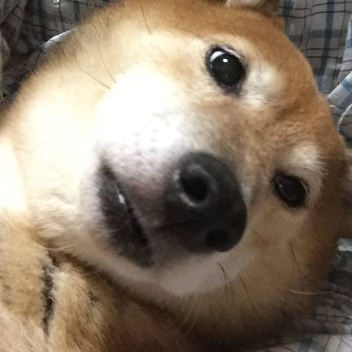 A636d368 fe14 489c 9418 f9c07eb16e5f 1599222913865