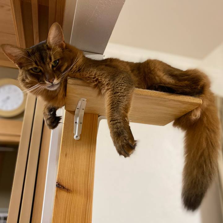 A636d8c9 31fa 45d0 8ff1 ebda7871a9ba 1663280441771