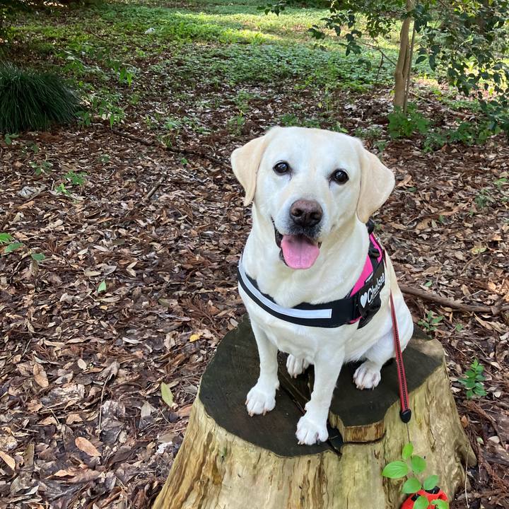 A636ee52 8176 42b9 8416 a232413cb9ad 1688261069023