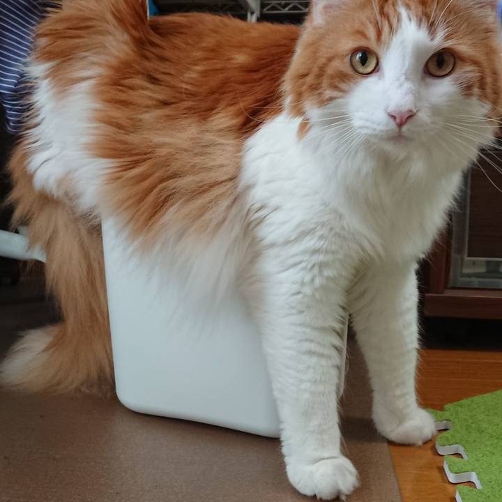 A6370abf 7a58 43e8 9cd1 eaca2598a324 1568508073006