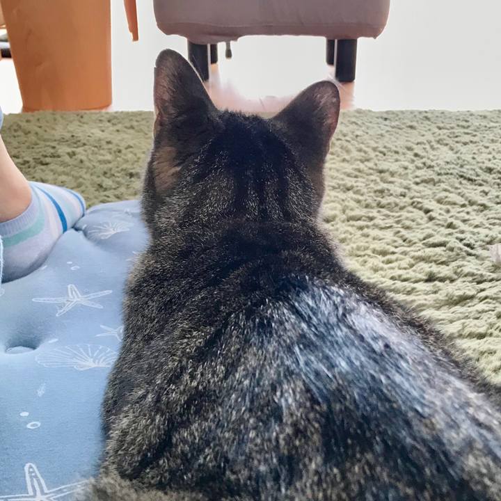 A6370cbd c024 4334 9518 1d755f44b44c 1563588829352