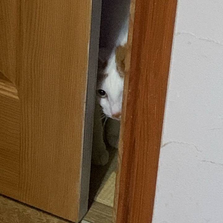 A6373ef8 2fdf 41e7 8b78 4ad23ca66a00 1625354725254