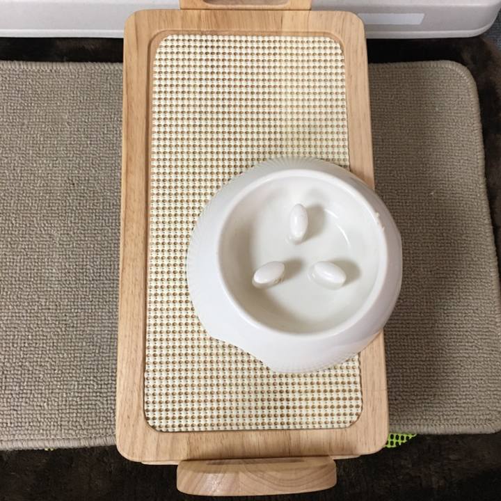 A6374a60 a1a8 4bcb 88e0 88df7cfaf419 1550055667910