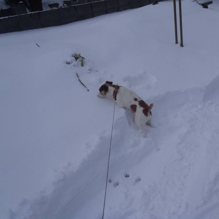 A6379741 9cfd 42b3 b372 73f16bb42270 1518345768690