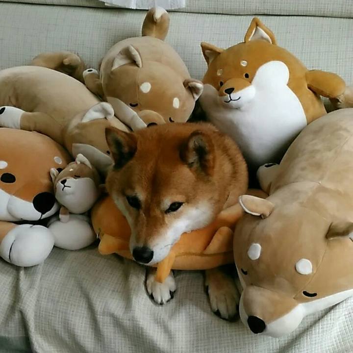 A637e078 4da9 4e08 8651 a69f513a7199 1559436480026