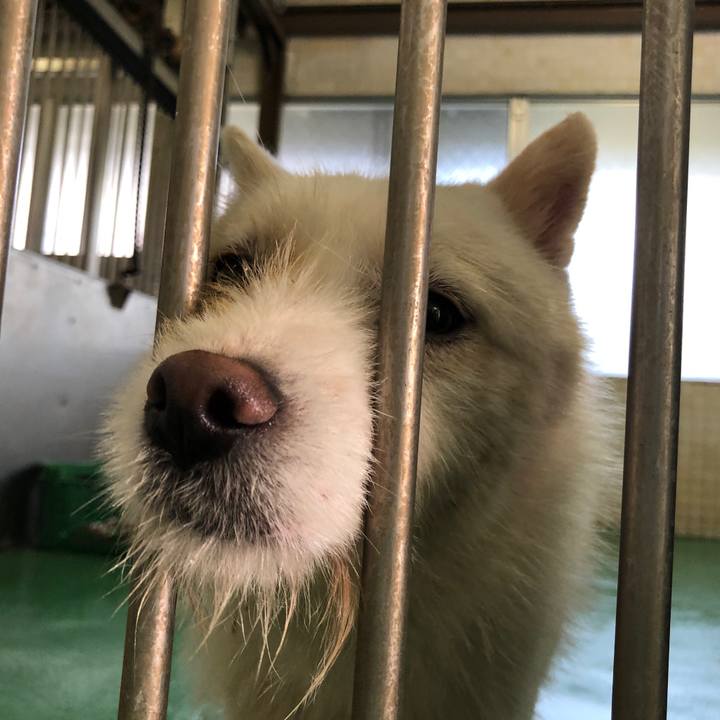 A6381e1d 8c41 444a a1b6 3ad2188c5588 1588326839430