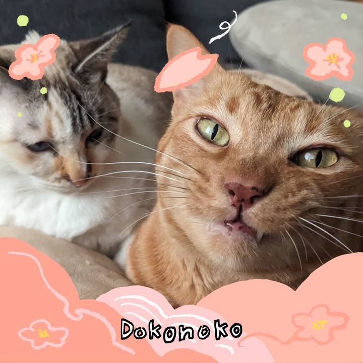 A6381f4d 1f9f 4104 a2d9 fc7091aacc91 1775872712860