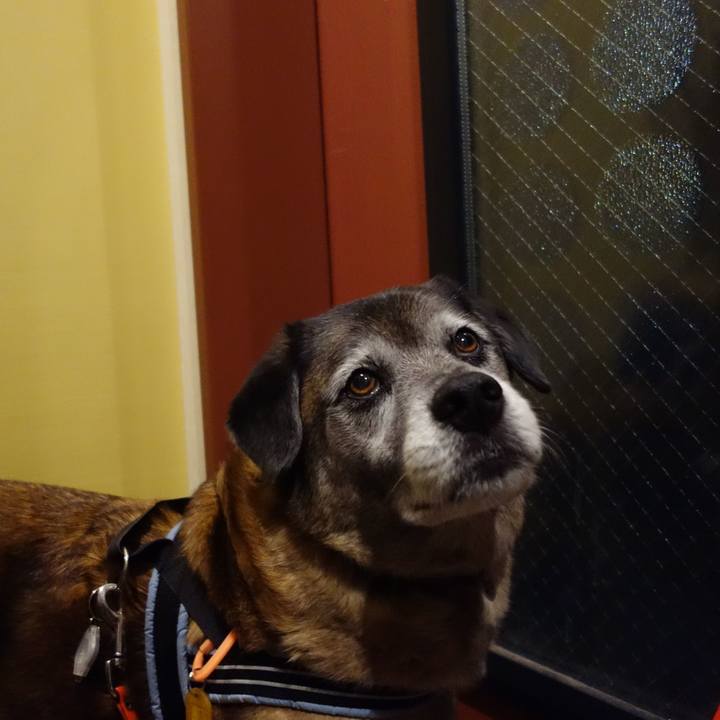 A6382a0c 4104 4682 9911 3e2d0b2ab9ec 1553770024290