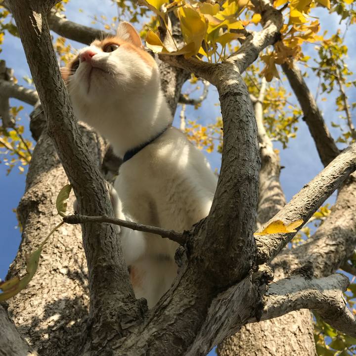 A6383172 a946 4663 8ede 650e69223372 1510020661141