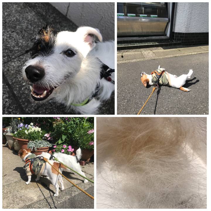 A638365b 3049 41e9 a82e fc4fb0f4bfd7 1526344244039