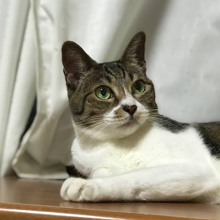 A638845a 4ab2 4a54 9019 ae664daedabb 1535328181211