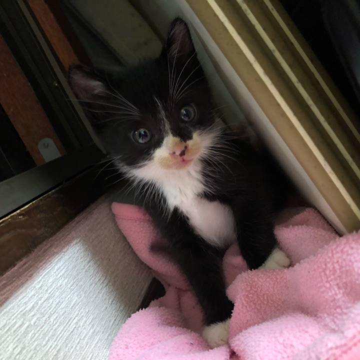 A6389e02 c2d5 480a 884f 4199e62ec302 1537024449564