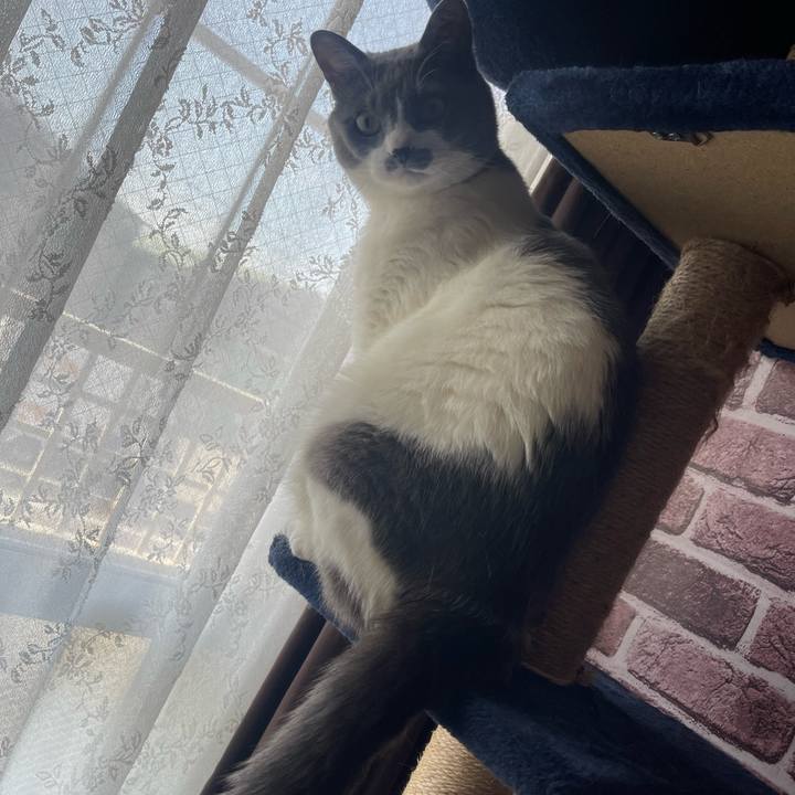 A638f52d 0acd 4082 8fd6 02861a7d0be3 1714689726611