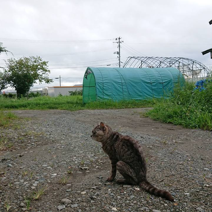 A6391f46 94c4 4fbb 8933 496a32a26b6d 1598951662355