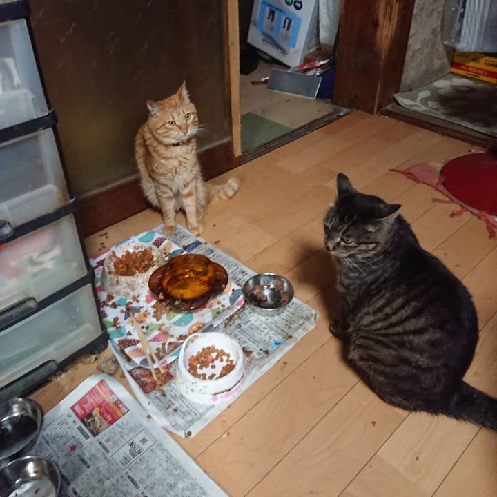 A639576d 79c0 410c b070 2a29a6aabc2b 1656585676414