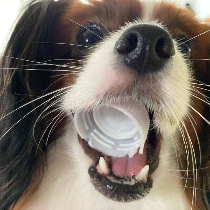 A6397b50 c1ca 4965 b3d1 45712d253d7d 1632713182756