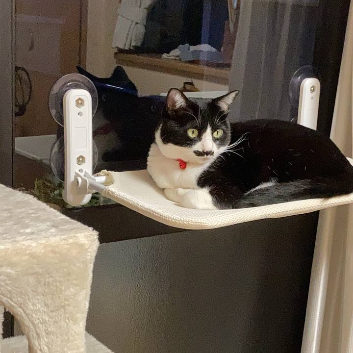 A63a3b83 ca95 43c4 bc68 ae12ea412078 1748350513006