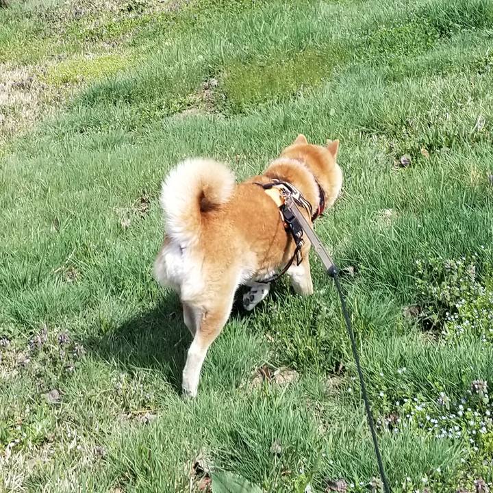 A63a83ba ba63 4690 b63e 78e96e7a73a7 1713340086201