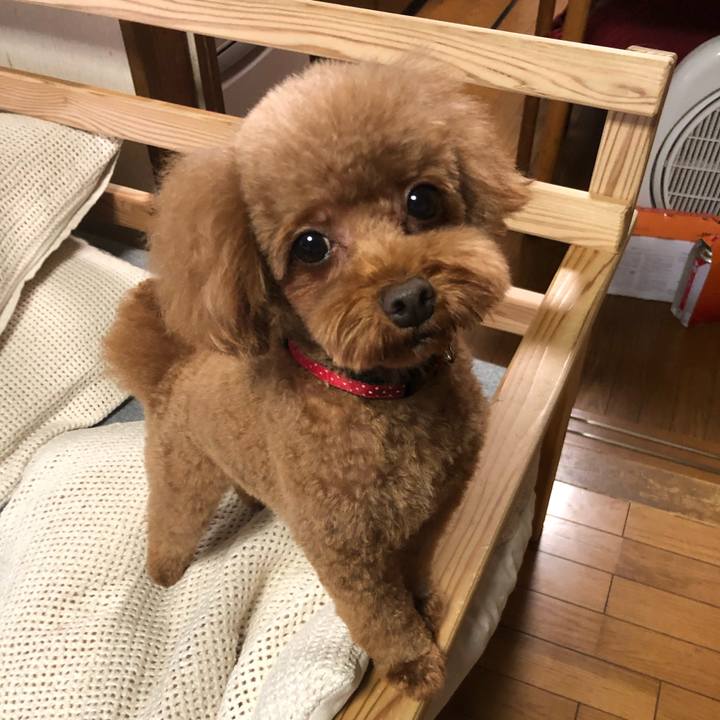 A63ac7a3 0fd3 4ef6 85e7 d6ef755090b5 1597704967357