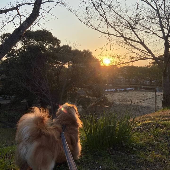 A63aeb50 226c 4fde abe0 edbd03978cbf 1584568634979