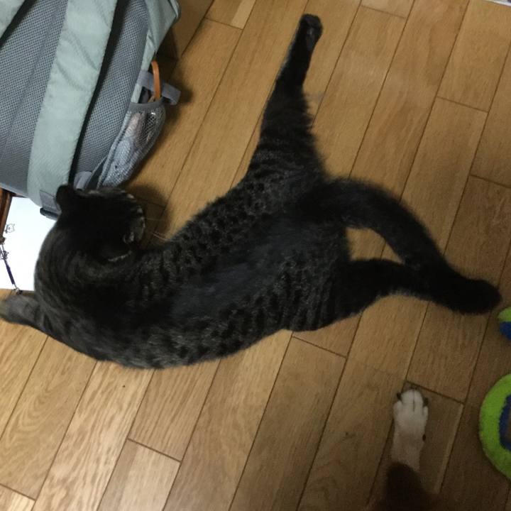 A63b0072 cd9d 493c 94e3 8adfafa82cd5 1568422906138