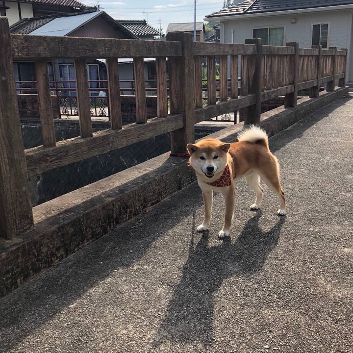 A63b1ed4 937f 4453 bf6e 0e7da64f733f 1526887226216