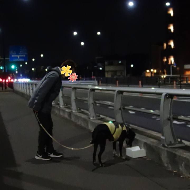 A63b3614 4189 401d 9547 c020eeae311f 1644318527517