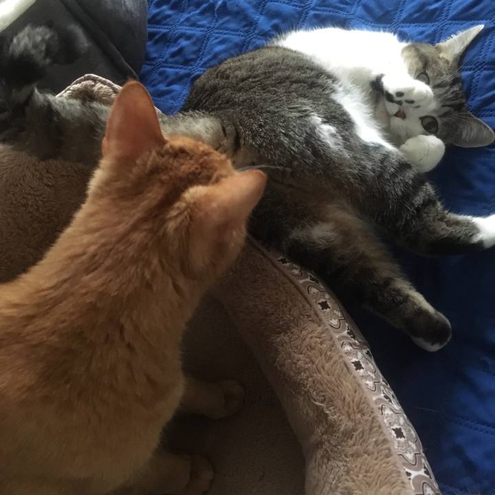 A63ba1a2 e815 49ca 9f4a a2aad9604f8d 1645500984165