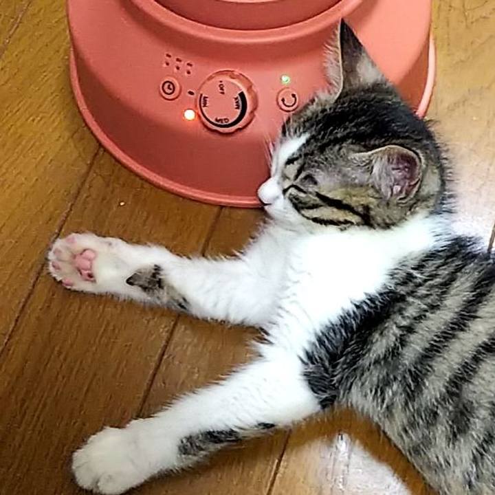 A63bb431 2581 421a 9cbb 7fe4215bfe9a 1606690878861