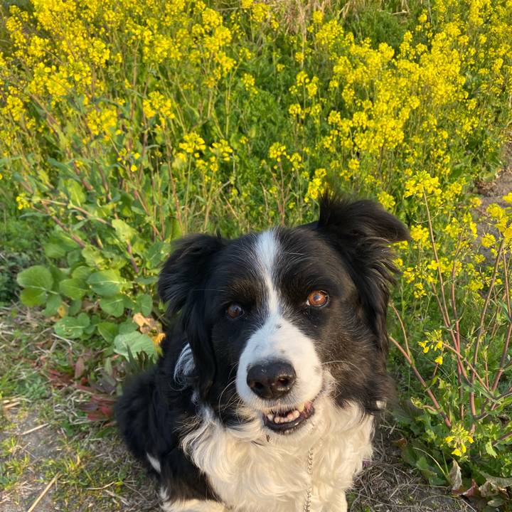 A63bc0fe 39ee 4bf3 9268 934515d40fb5 1647039933198