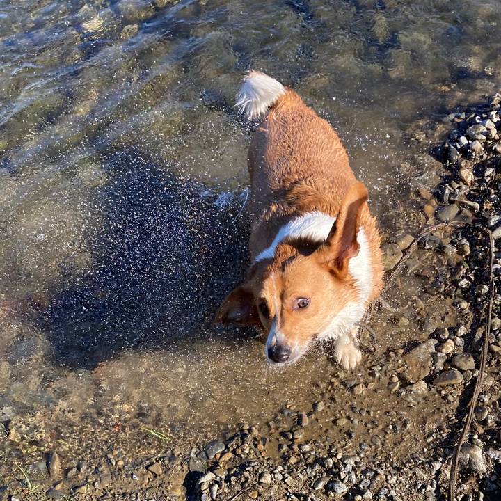 A63bd3a0 ef19 494c b2df 4d59a9b420a8 1669342574827