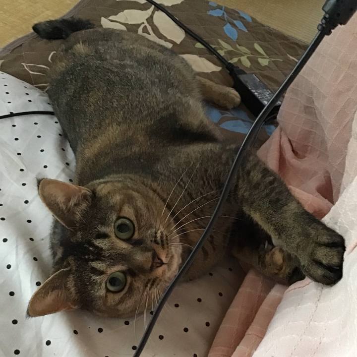 A63bd556 996a 4a3c ac91 0488720bca3a 1664078263273