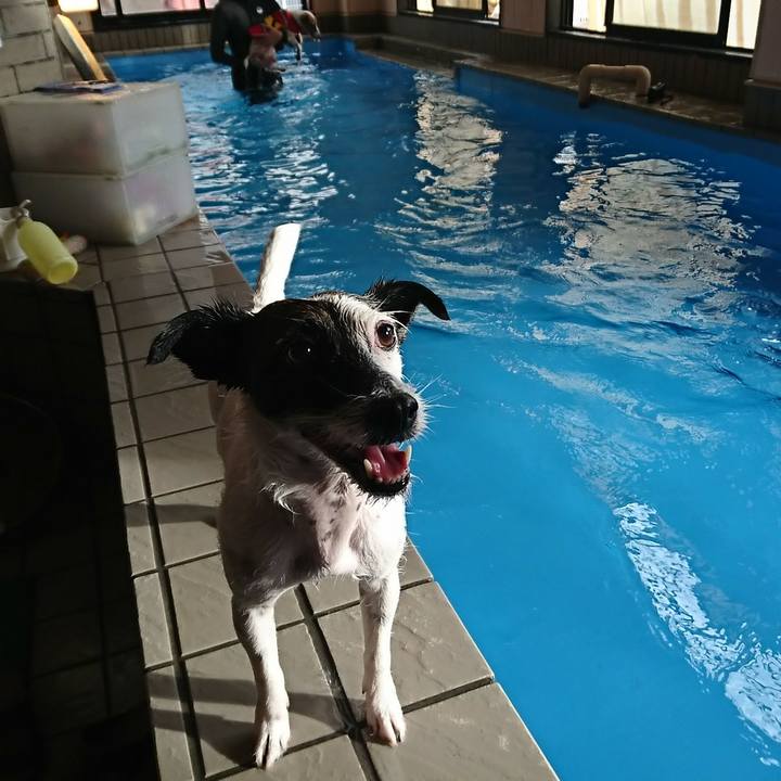 A63c0709 b22a 42de 97f1 2e6ce9eca727 1535616156183