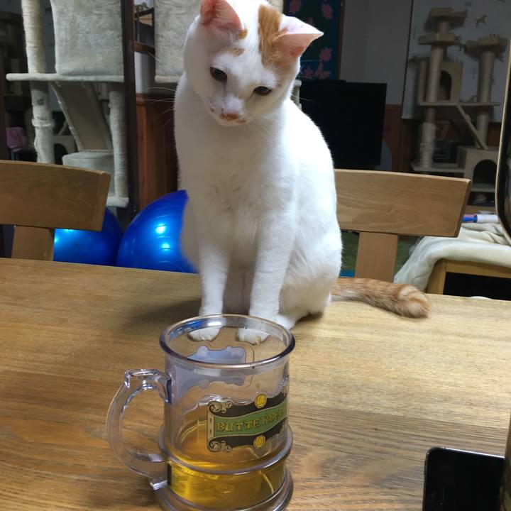 A63c5fb9 3b82 40e1 ab73 91e21b98997d 1548083609644