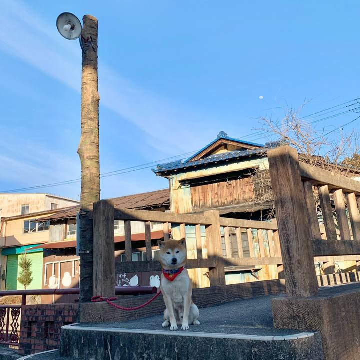 A63c779f 8a0a 49e9 86d6 a38e10b18d2d 1614162569799