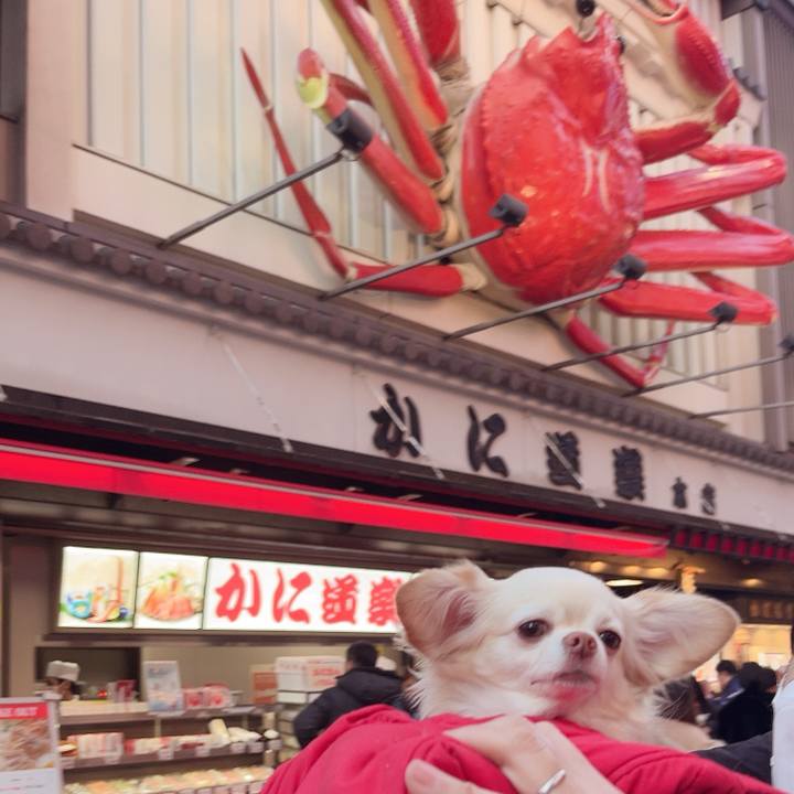 A63ca987 0926 4c0d 89ff 4586e874c4b3 1735891840133