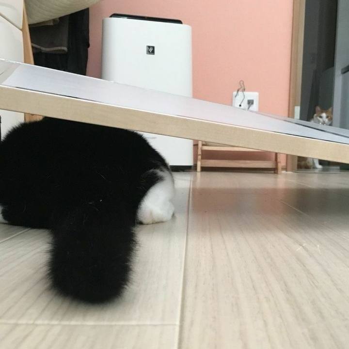 A63cb347 bcb2 4557 b2b2 7131557f0e16 1534146585924