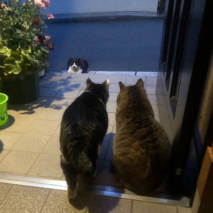 A63cca48 8d5f 46aa 9abe 35e6b5e0d277 1554808618557