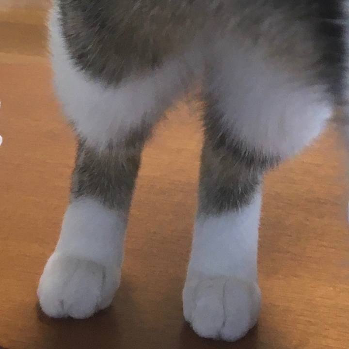 A63cd684 b669 48f2 af29 33b9511daf2c 1667554989054