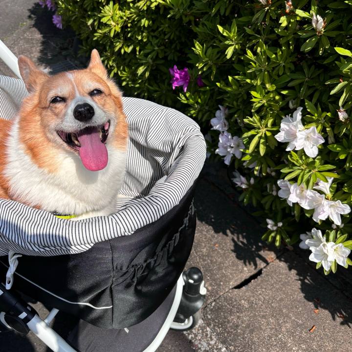 A63ce1a9 482e 4985 8a28 7e5fbf94debb 1745282304451