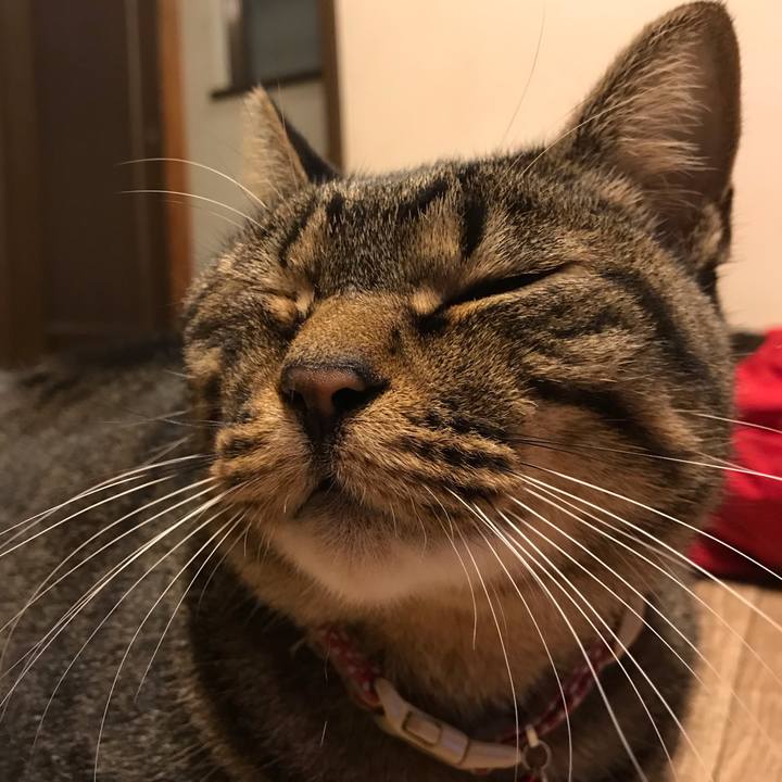 A63d123b f16e 4fc9 acaa 7e2a7d21b9aa 1543515268172