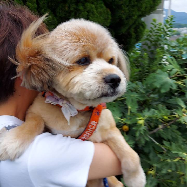 A63d54bb 699e 4fd3 9147 a326fdf73179 1629018046844