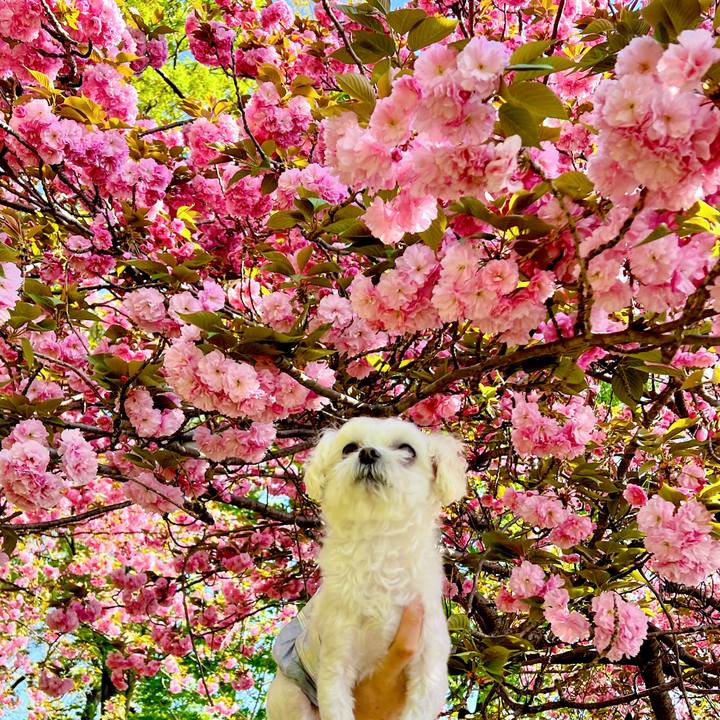 A63d84b9 e833 4923 8575 76af6825078c 1681368363135