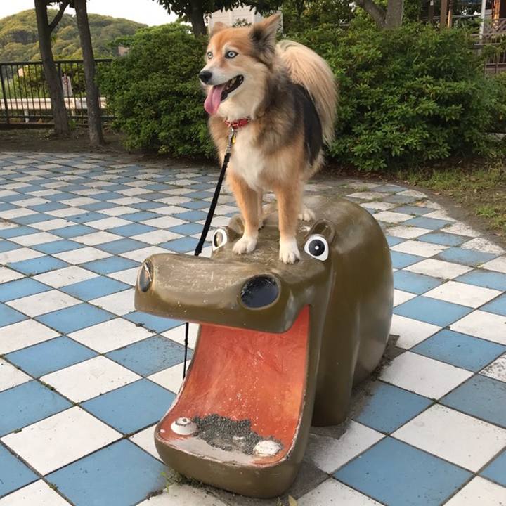 A63d8506 a5aa 4553 9ada 303694c2e246 1559380129014