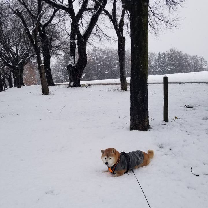 A63df8f0 344c 4546 9bfa 3c96210a1229 1733977888914