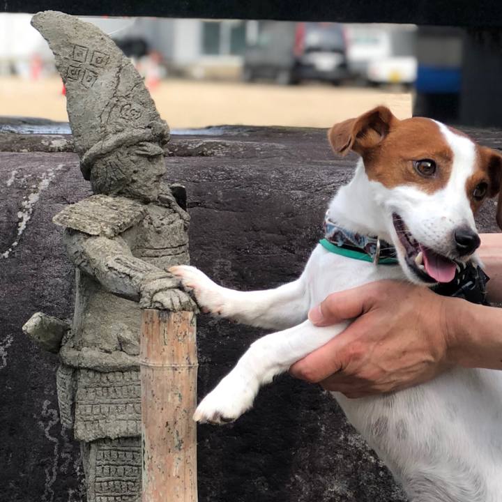 A63e1417 103d 4c4a 9f50 4c1e520b39f4 1595907567044