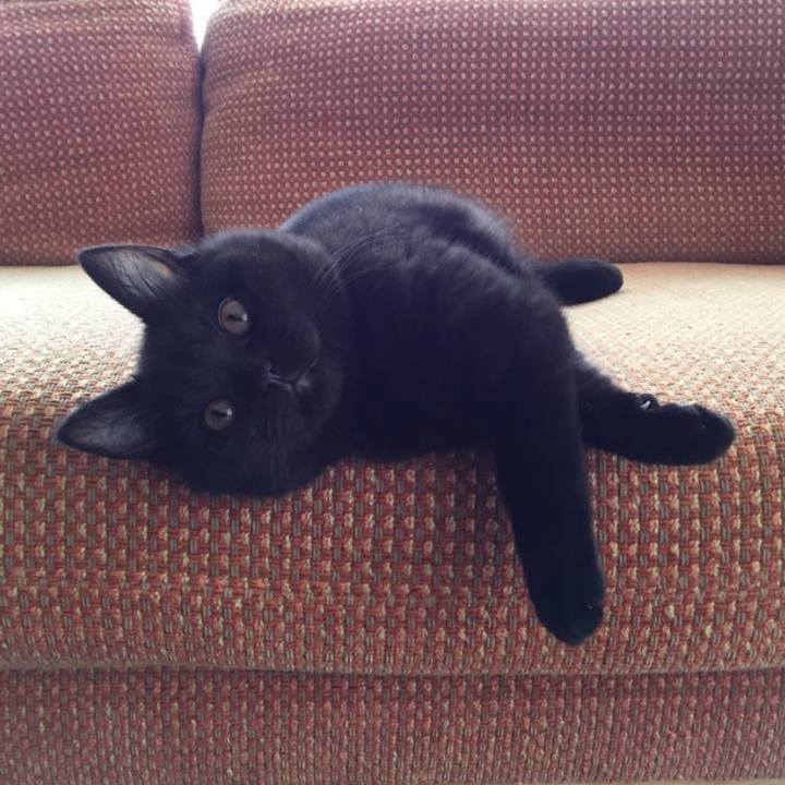 A63e14e1 8208 4e7b afb3 9d7bbcd834b6 1707648792918