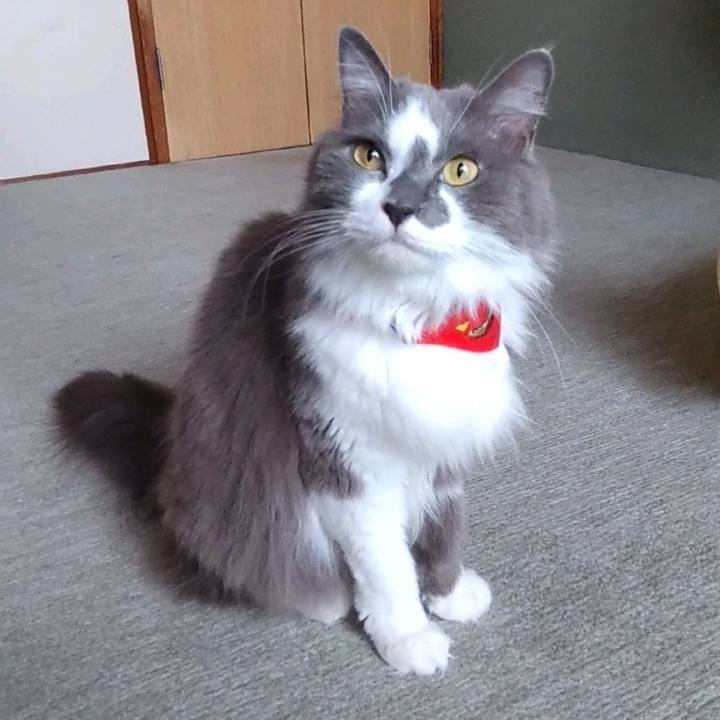 A63e24a5 7203 4d7f 90d7 bc8f8301b6a4 1692500783228