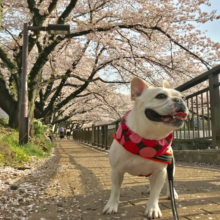 A63e3ed5 045e 47e8 be80 5397463b5a73 1522571157437